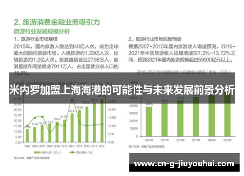 米内罗加盟上海海港的可能性与未来发展前景分析