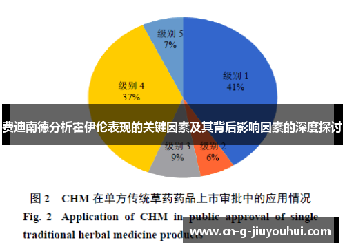 费迪南德分析霍伊伦表现的关键因素及其背后影响因素的深度探讨 费迪南德分析霍伊伦表现的关键因素及其背后影响因素的深度探讨